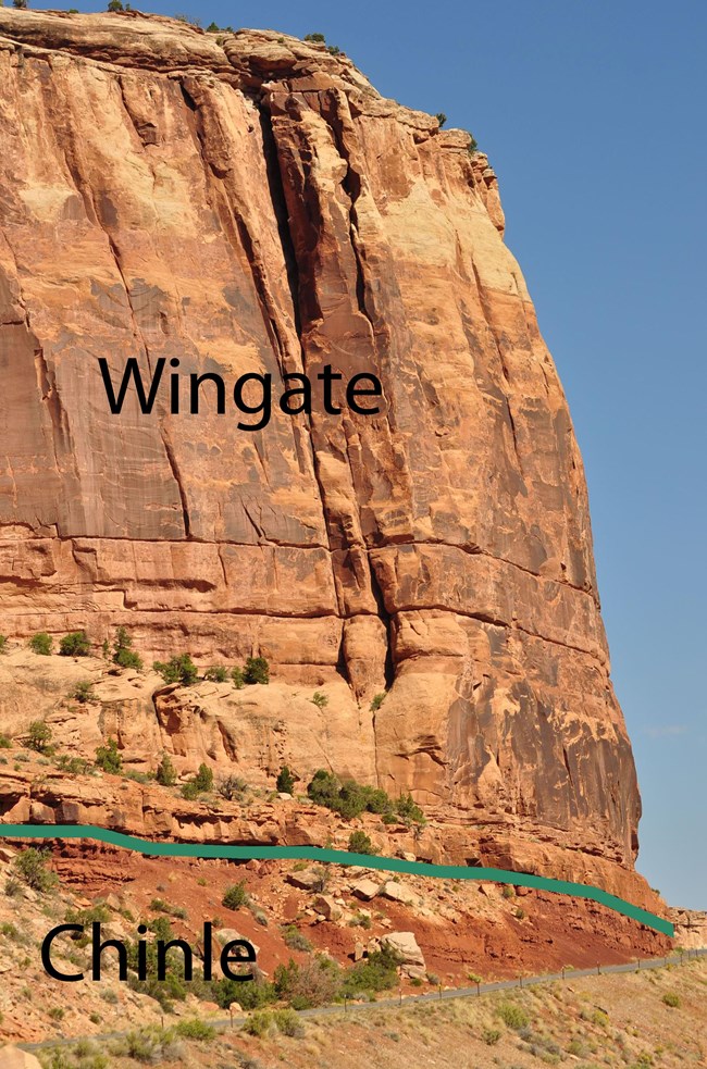 Vertical rusty-red-orange cliffs stand before a blue sky. A green line near the bottom differentiates the cliffs above labeled "Wingate" and the land below labeled "Chinle."