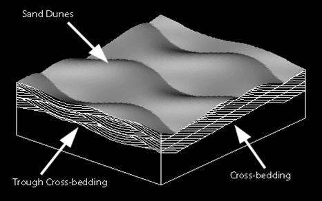 A 3-D cross section of wavy sand dunes in grayscale. Arrows point to sand dunes above, trough cross-bedding on one cutaway, and to cross-bedding on the other side. The first looks like braided waves, the second looks like rows of stacked, tilted columns.