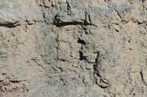 burro canyon for strat column web burro canyon for strat column web