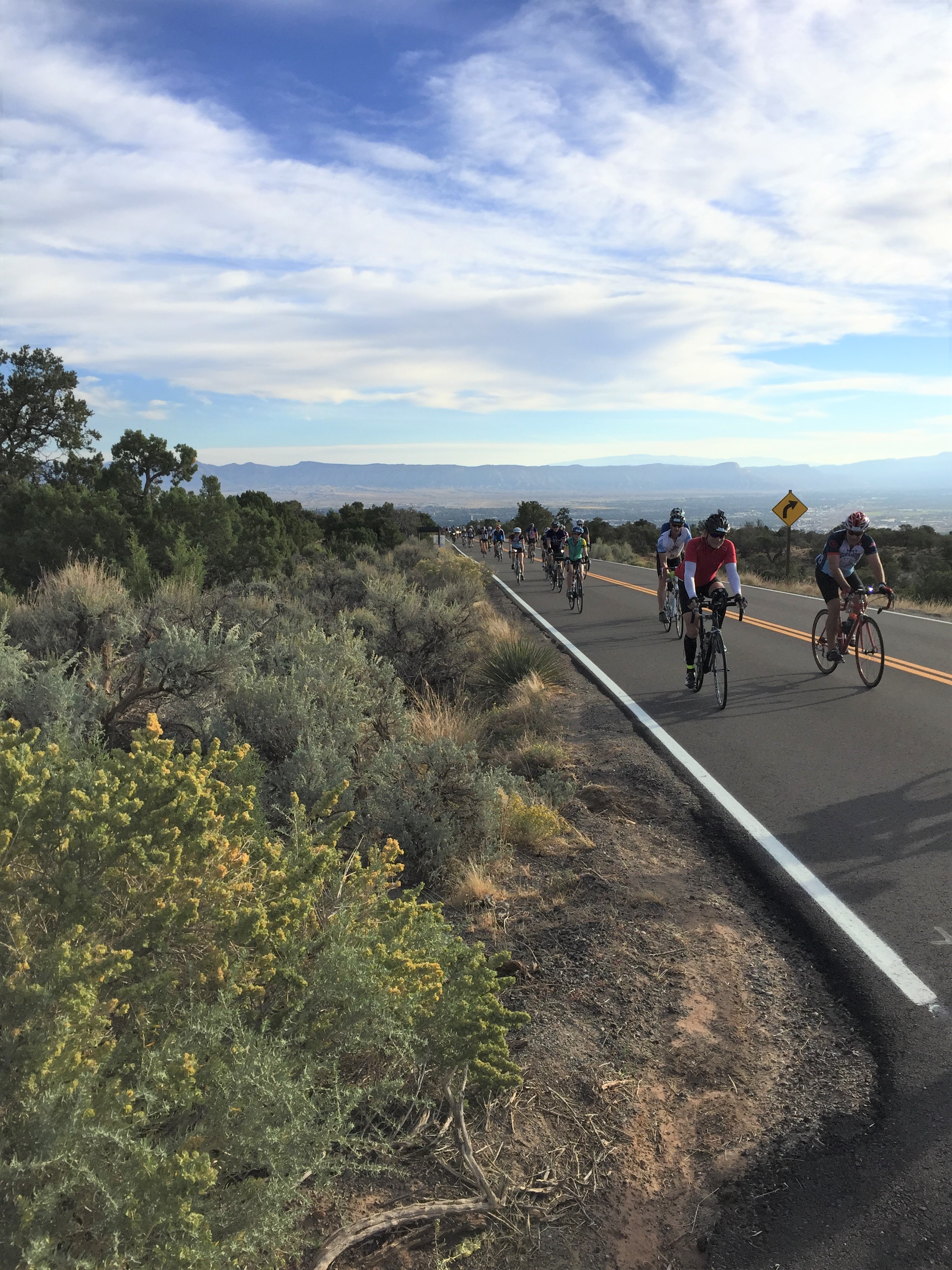 15-20 bicyclists riding on an asphalt road with sagebrush on the near side of the road.