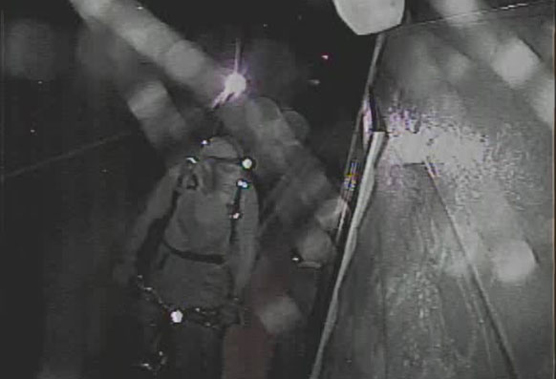 surveillance image