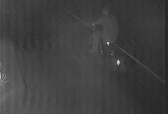 surveillance image