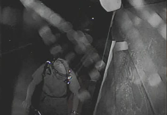 surveillance image