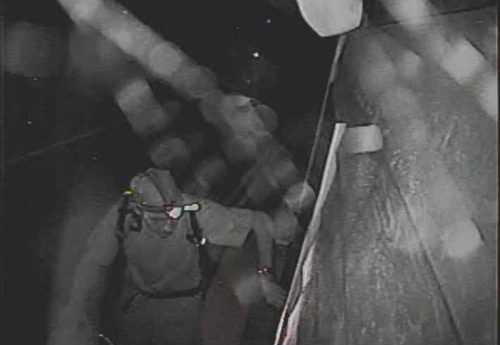 surveillance image