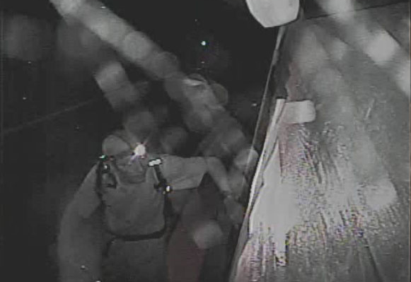 surveillance image
