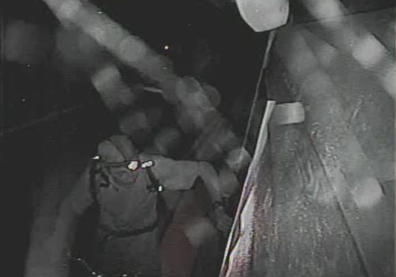 surveillance image
