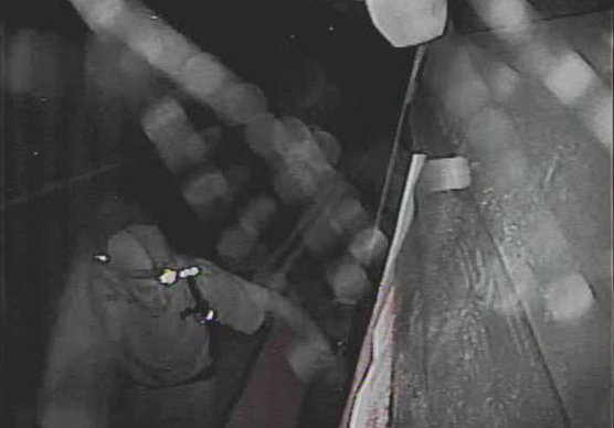 surveillance image