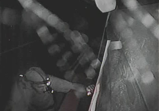 surveillance image