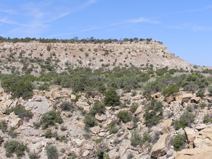 Black Ridge, a mostly-flat mesa top covered in green shrubs and trees. Soil and boulders are light gray along slopes.