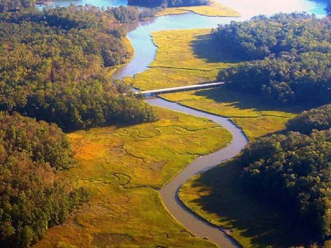 aerial view of wetlands along the Colonial Parkway