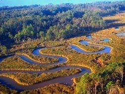 Jamestown Island