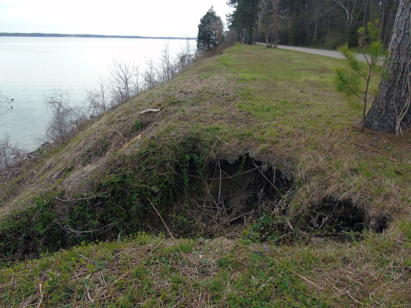 Shoreline erosion