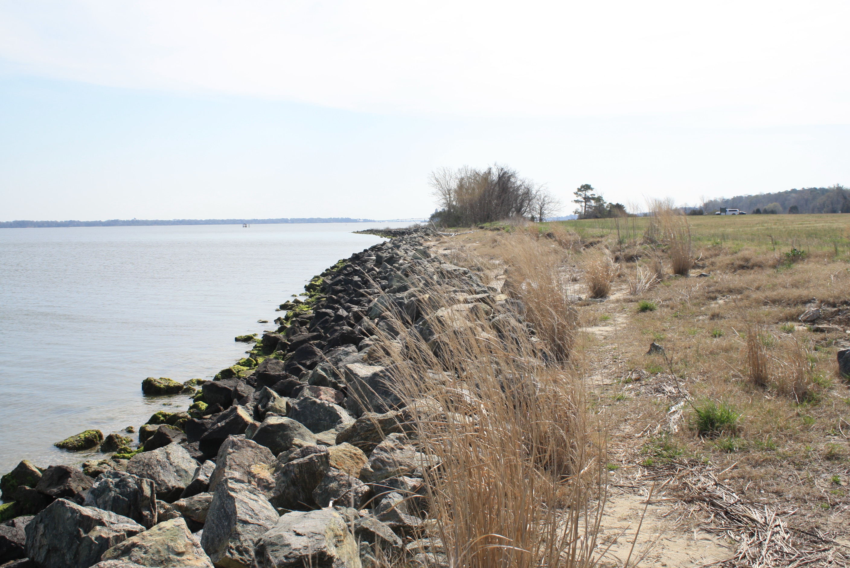 Colonial Parkway shoreline along the York River.  It shows the water of the York River, with rip rap rocks forming the shoreline.