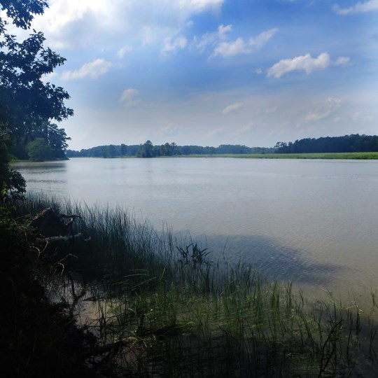 Back River at Historic Jamestowne Back River at Historic Jamestowne