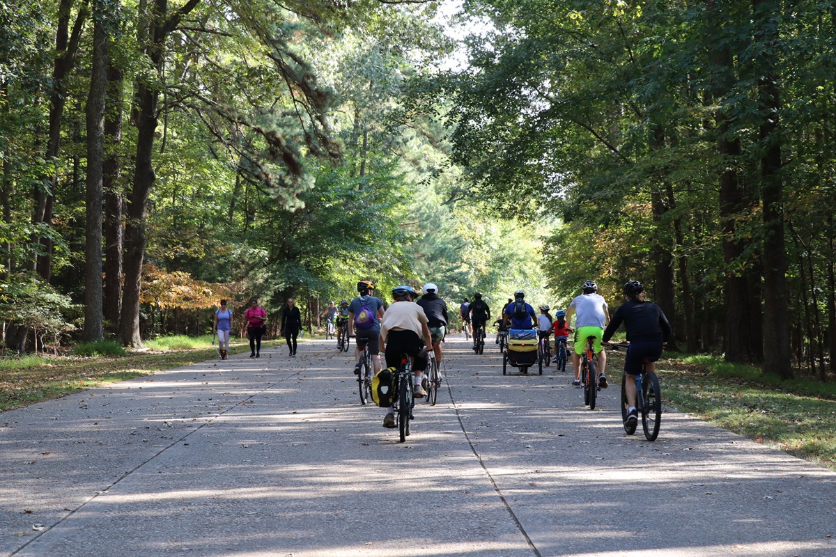 A large group of people bikes and walks along the cobblestone path of the Colonial Parkway. The trees that surround the parkway are in the various shades of fall.