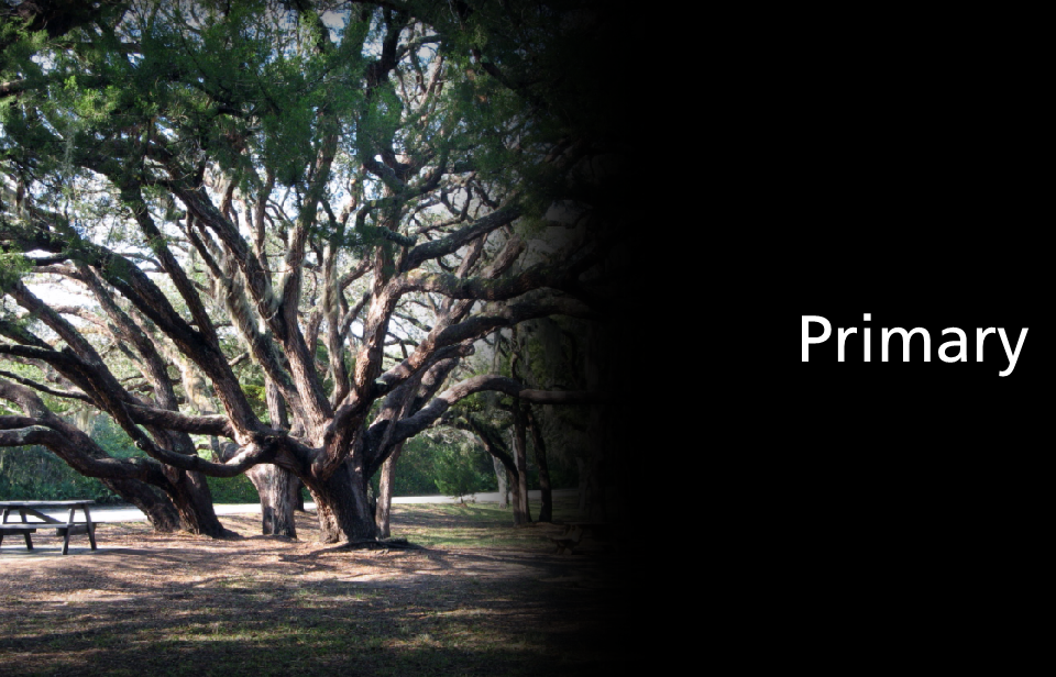 live oak trees fading to black with answer primary