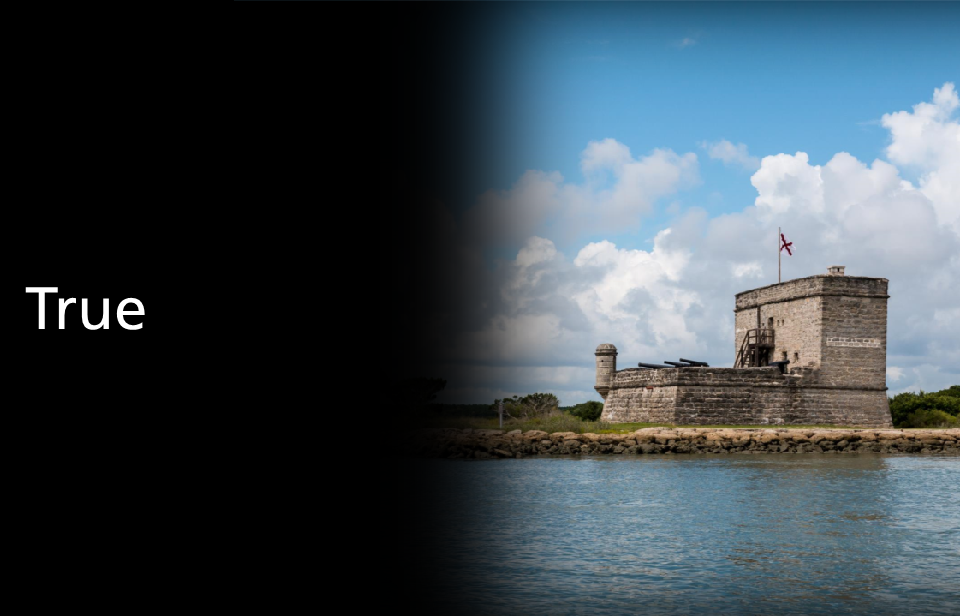 text on white background reading True or false, “aufwuchs” are communities of algae, bacteria, protozoa, and tiny animals that live on salt marsh plants.