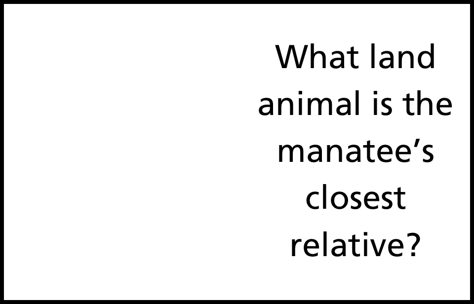 live oak trees fading to black with answer elephant