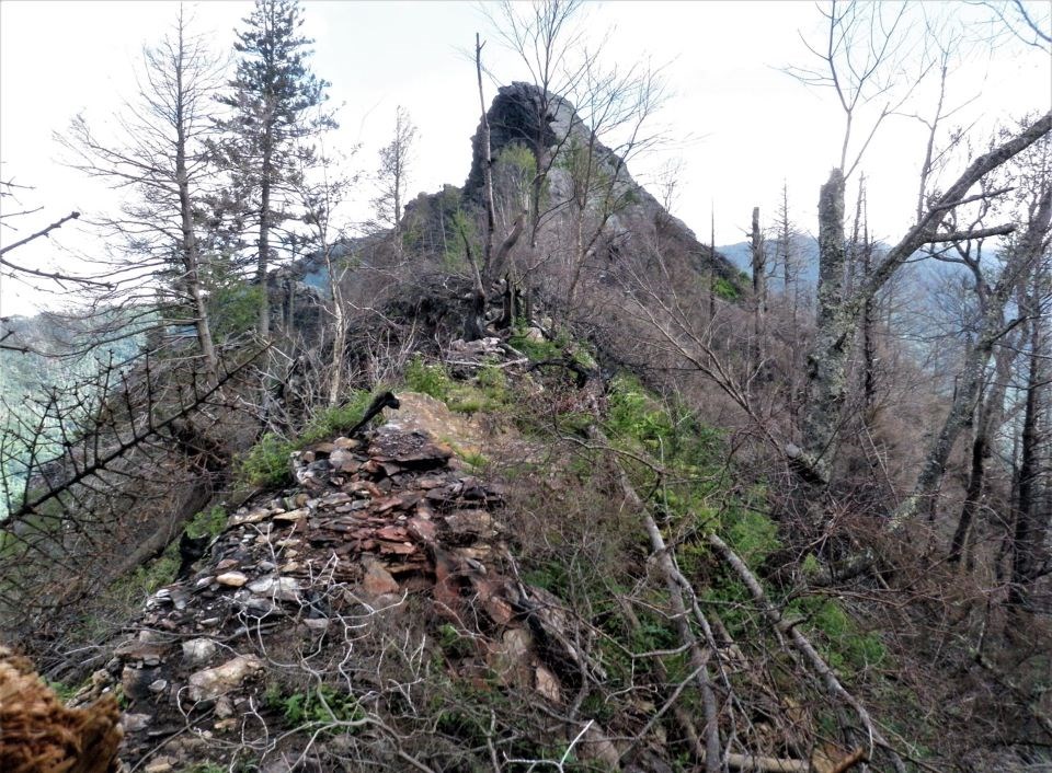 The rocky summit of Chimney Tops 1 sparsely surrounded by dead and burned trees.