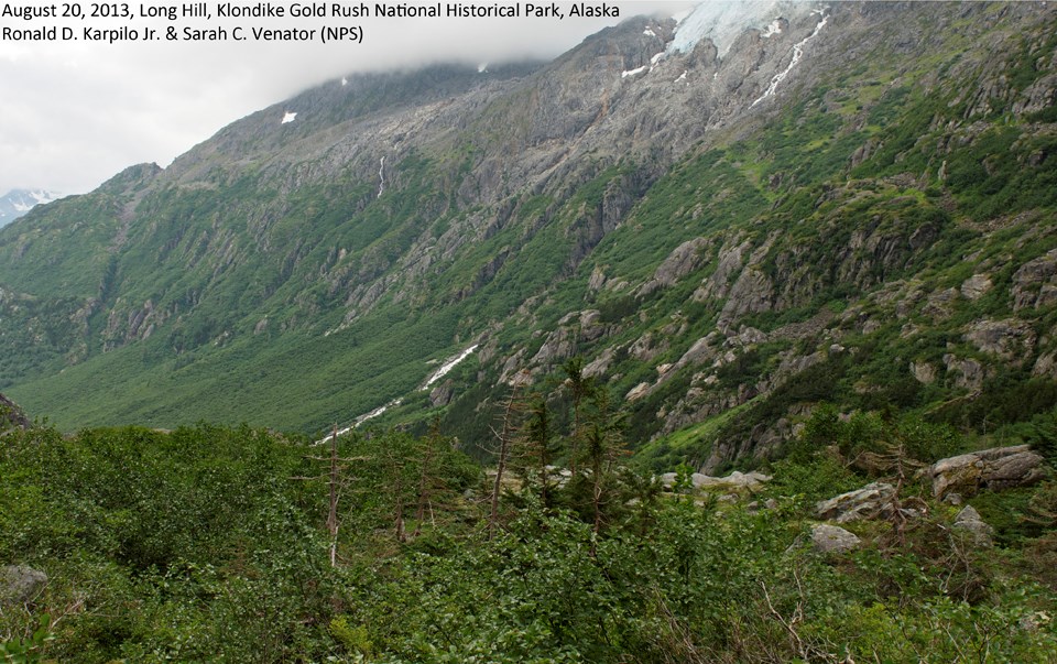 Lush green mountain-scape with small snow patches and glacier on mountain background.