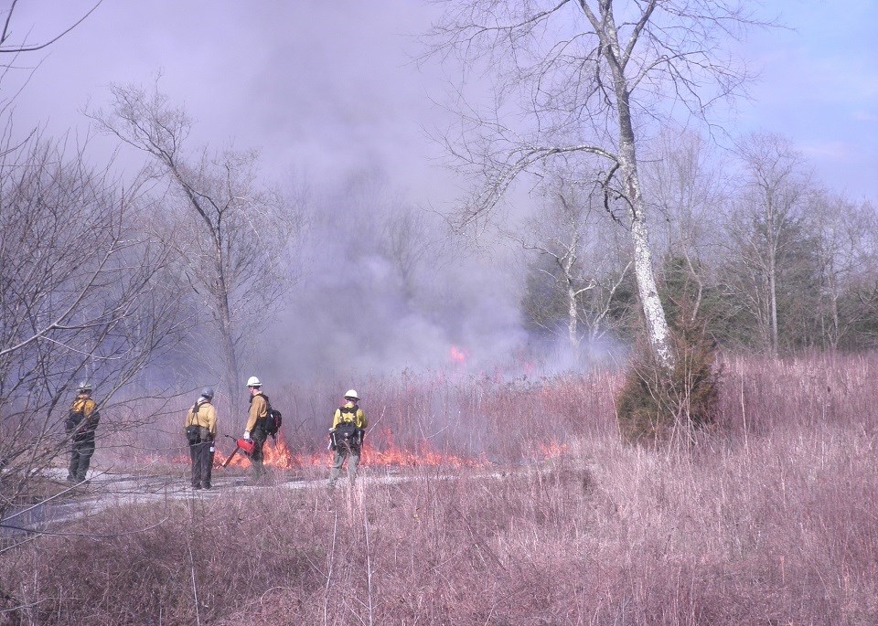 Wildland firefighters setting fire to a large field