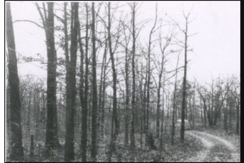 A black and white photo of a 1940s car on a dirt road in a sparse forest.