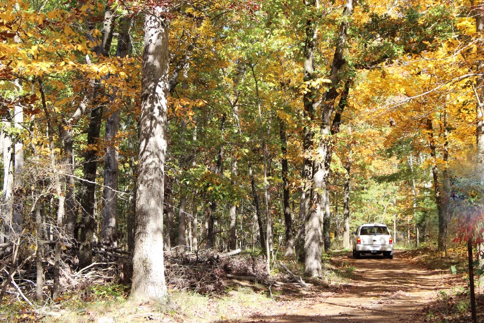 A black and white photo of a 1940s car on a dirt road in a sparse forest.