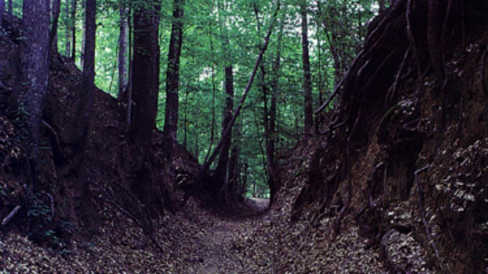 A painting of white men dressed in pioneer clothing on a trail.