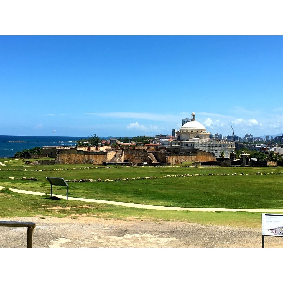 One-story housing in rows on grass
