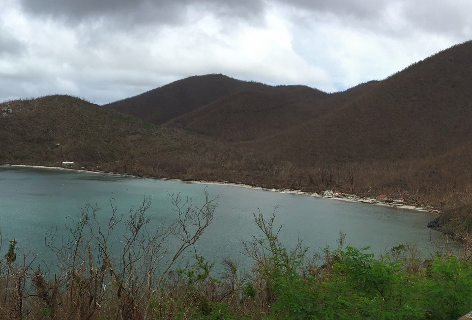 Maho Bay post Hurricane Irma