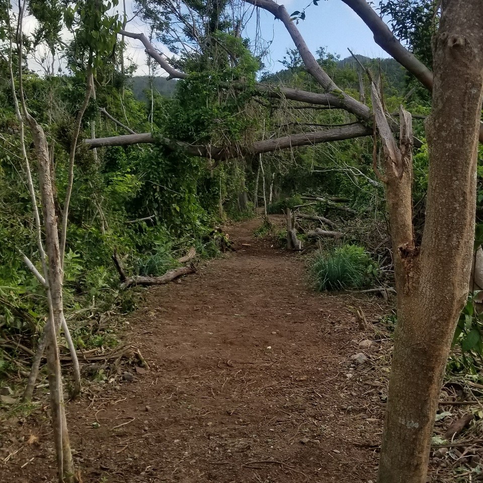 Reef Bay Trail Section Post Irma