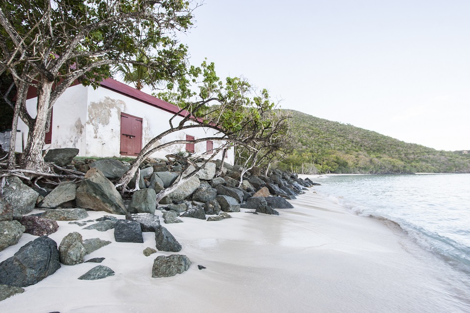 Cinnamon Bay Lab 2016