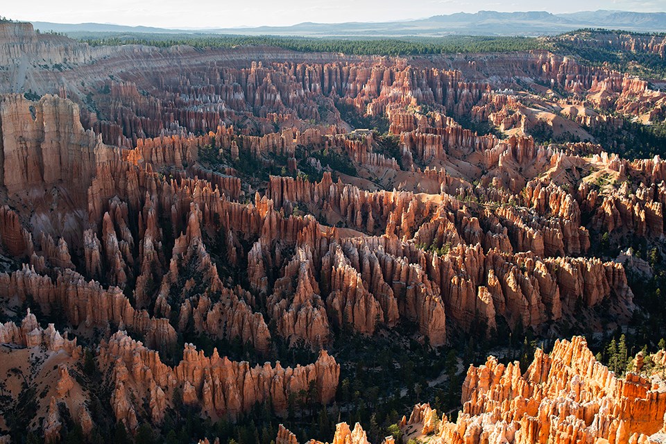 Desert landscape of red rock spires, cliffs, buttes, and forested plateau
