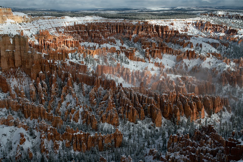 Desert landscape of red rock spires, cliffs, buttes, and forested plateau