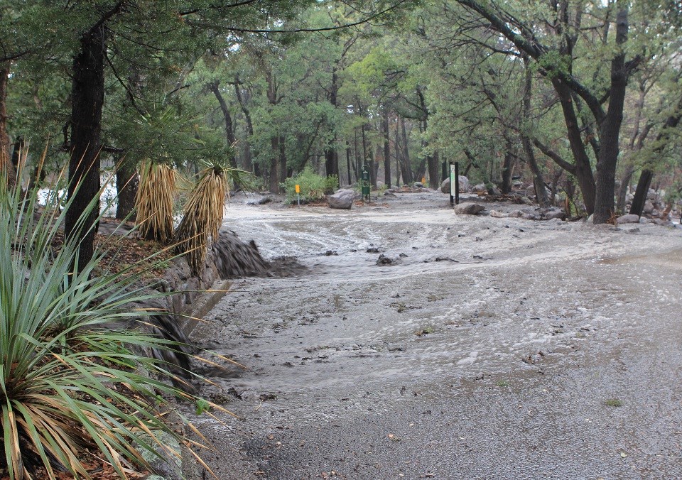 Flooding along a road.