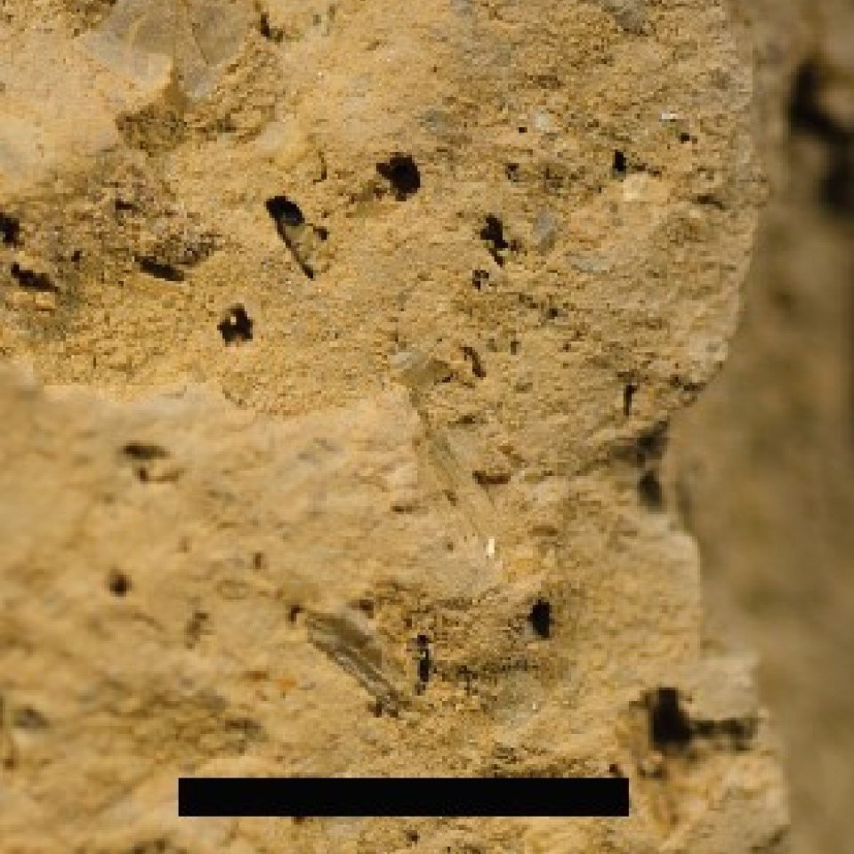 Light gray rock with small crystals