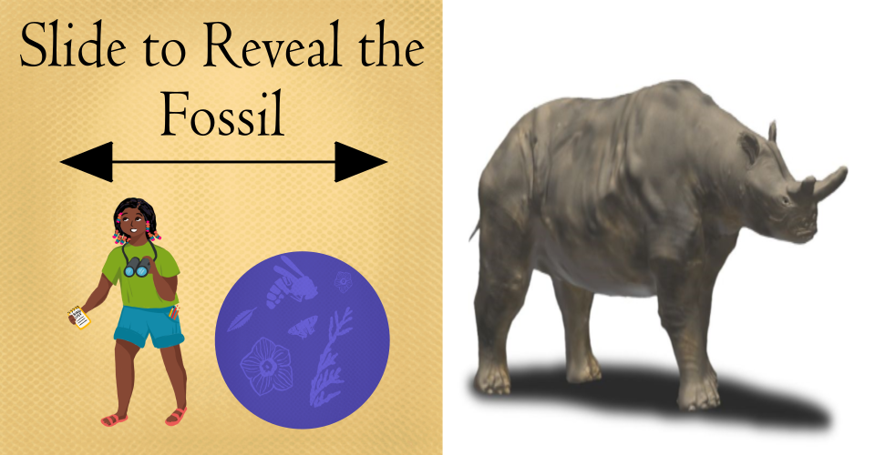 Text on image that reads "Slide to Real the Fossil" with a Black girl holding a notebook and binoculars shown alongside a round blue graphic with pictures of insects and plants. On the right is a picture of a large gray rhinoceros-like brontothere.