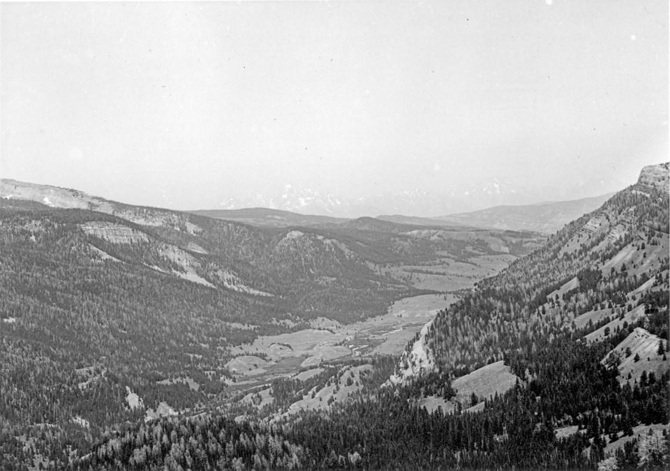 A valley extends out from the viewer, with a mix of forest and meadow.