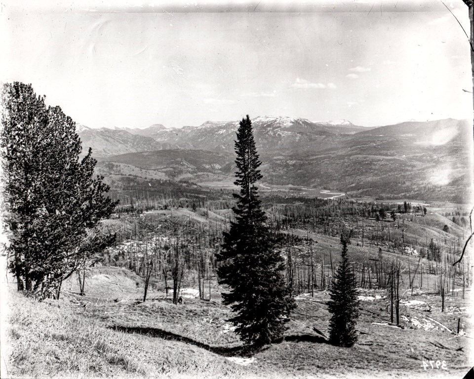 A few live trees stand in the foreground, in front of a slope that has burned recently. Forested hills and mountains are visible in the background.