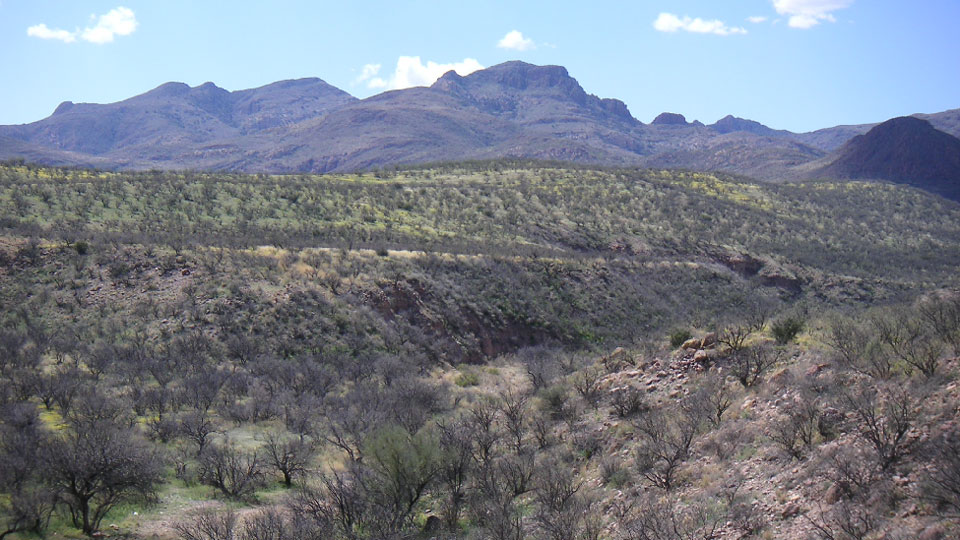 painted illustration of brown, flat landscape