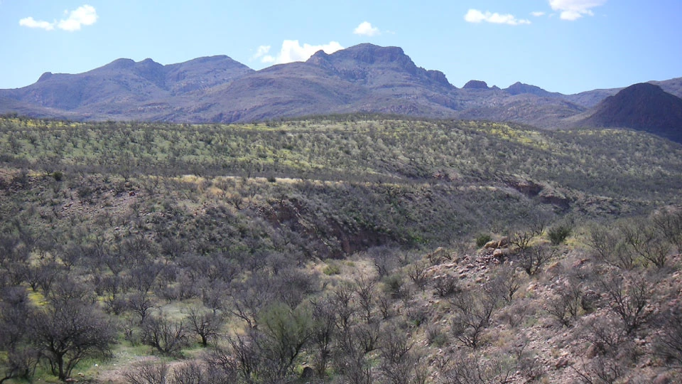 painted illustration of brown, flat landscape