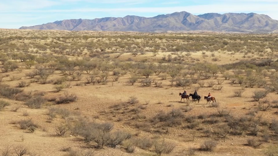 illustration of travelers on horseback coming from the south