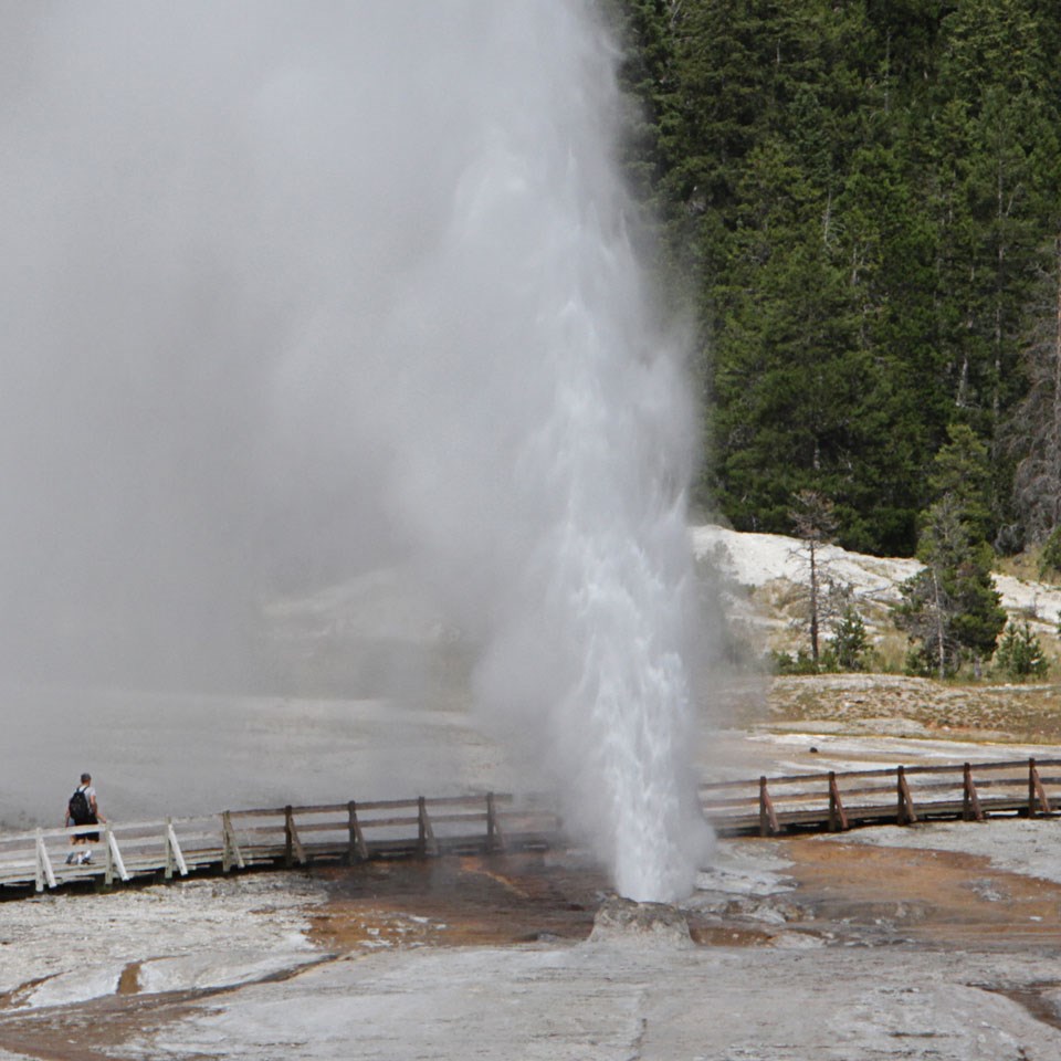 Steam and water erupt out of a beehive-shaped cone of rock.