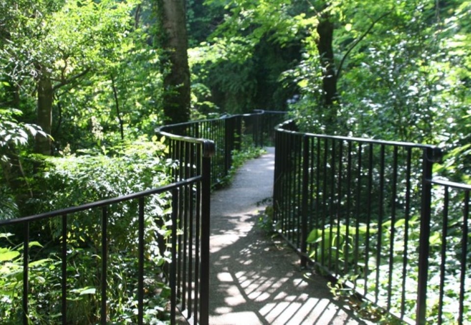 A winding trail with black railings on both sides has trees and the ground is covered with invasive species such as kudzu