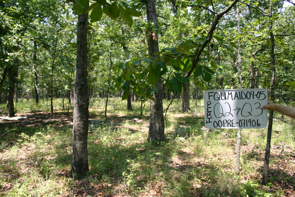 Monitoring plot, the white board shows the plot identification number, park identification, and the date.