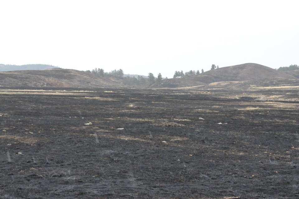 wind cave prairie black and smoldering after a fire