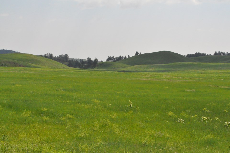 wind cave prairie black and smoldering after a fire