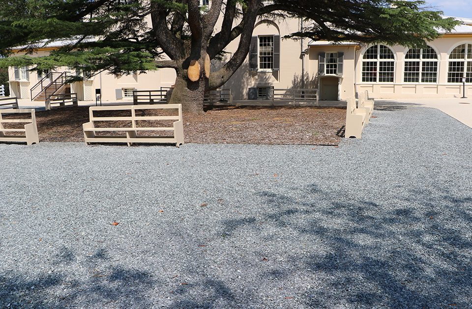 Behind the house, area with large ravine from erosion.