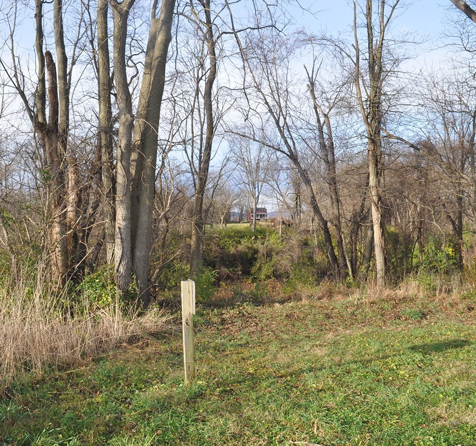 A red brick house in the distance is obscured by trees.