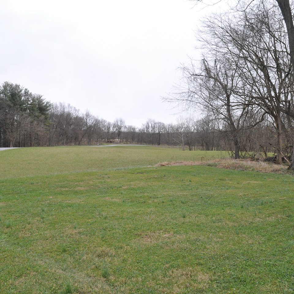 Green lawn with trees in the distance and on the right.